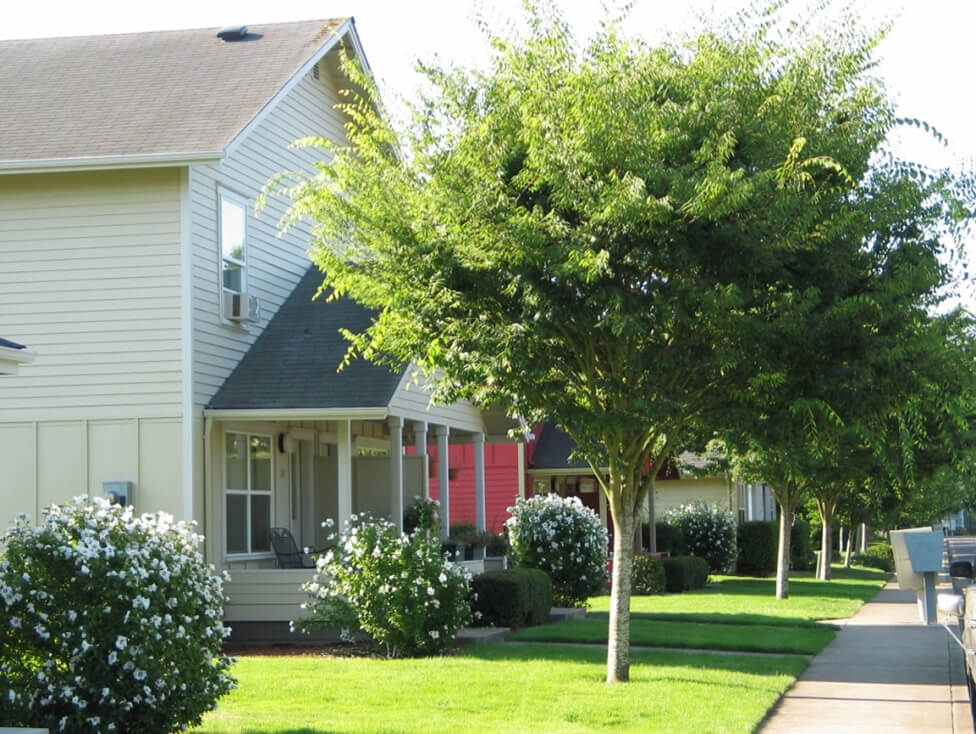 Walnut Park Townhouses